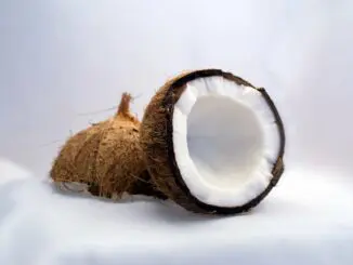Kokosový ořech