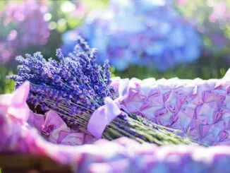 Focus Photo of Lavender on Basket