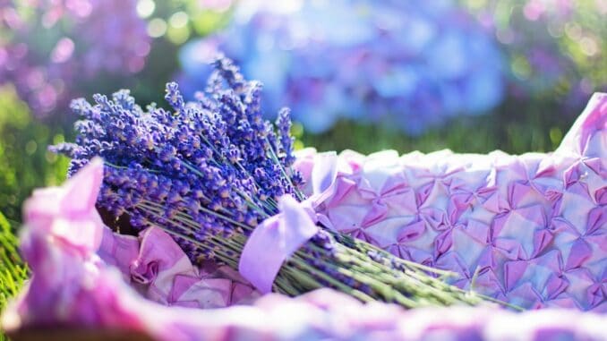 Focus Photo of Lavender on Basket