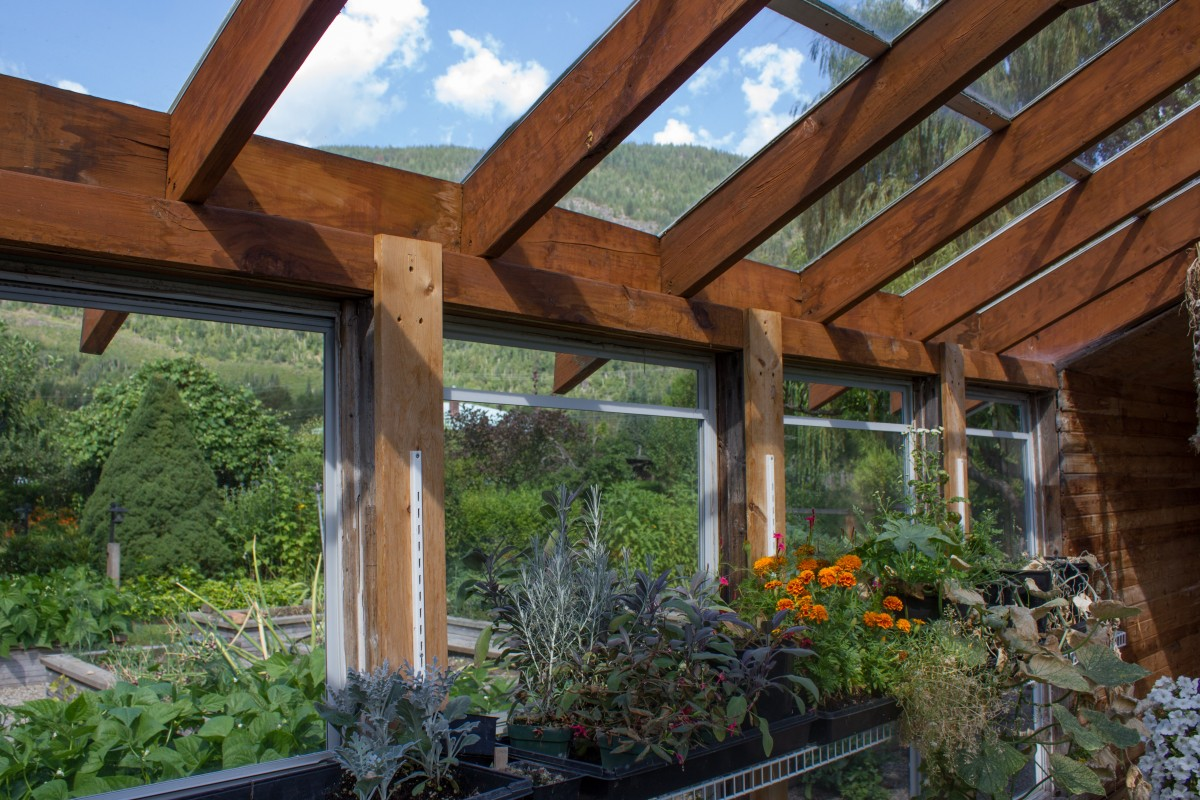 Pergola z masivních dřevěných trámů se skleněnou střechou nad zeleninovou zahrádkou
